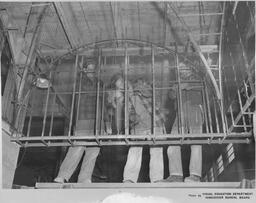 Plaster students working on a mesh arch, ca. 1955