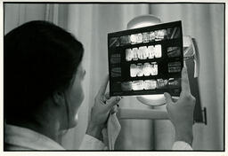 Dental student examining x-ray