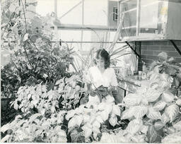Person in a room filled with plants