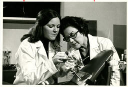 Instructor watches dental student with model teeth